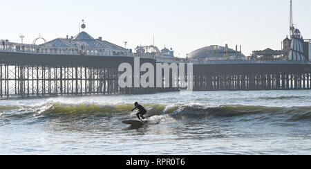 Brighton, East Sussex, UK. 23. Feb 2019. Ein Surfer von Brighton Palace Pier die schönen sonnigen und ungewöhnlich warmen Wetter für die Zeit des Jahres, mit einem Server einrichten Prognose in den nächsten Tagen in ganz Großbritannien: Simon Dack/Alamy Live News, um fortzufahren Stockfoto