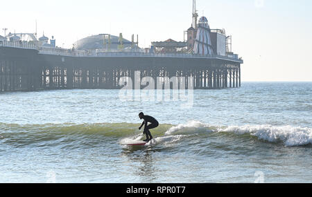Brighton, East Sussex, UK. 23. Feb 2019. Ein Surfer von Brighton Palace Pier die schönen sonnigen und ungewöhnlich warmen Wetter für die Zeit des Jahres, mit einem Server einrichten Prognose in den nächsten Tagen in ganz Großbritannien: Simon Dack/Alamy Live News, um fortzufahren Stockfoto