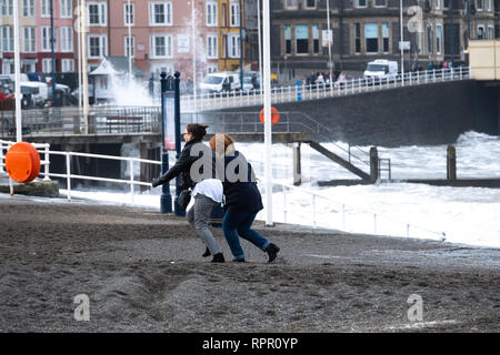 Aberystwyth Wales UK, Samstag, 23. Feb 2019 UK Wetter: Ein hoher Spring Tide und ein "großes Meer" bringen, riesige Wellen, die in die Promenade und herrlichem Tonnen Sand und Kies über der Küste von Galway an der Westküste von Wales an diesem Samstag morgen. Das Wetter ist sehr mild und wird auch in den nächsten Tagen wärmer werden prognostiziert. Credit: Keith Morris/Alamy leben Nachrichten Stockfoto
