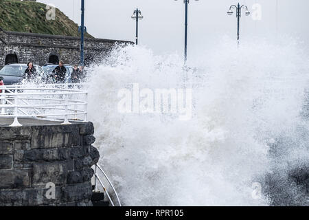 Aberystwyth Wales UK, Samstag, 23. Feb 2019 UK Wetter: Ein hoher Spring Tide und ein "großes Meer" bringen, riesige Wellen, die in die Promenade und herrlichem Tonnen Sand und Kies über der Küste von Galway an der Westküste von Wales an diesem Samstag morgen. Das Wetter ist sehr mild und wird auch in den nächsten Tagen wärmer werden prognostiziert. Credit: Keith Morris/Alamy leben Nachrichten Stockfoto