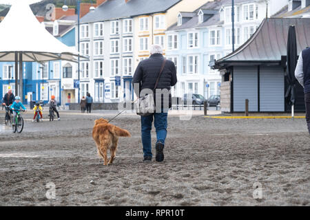 Aberystwyth Wales UK, Samstag, 23. Feb 2019 UK Wetter: Ein hoher Spring Tide und ein "großes Meer" bringen, riesige Wellen, die in die Promenade und herrlichem Tonnen Sand und Kies über der Küste von Galway an der Westküste von Wales an diesem Samstag morgen. Das Wetter ist sehr mild und wird auch in den nächsten Tagen wärmer werden prognostiziert. Credit: Keith Morris/Alamy leben Nachrichten Stockfoto