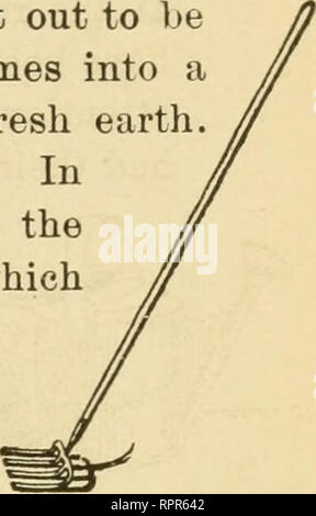 . Der laienhaften praktische Garten - Buch;. Im Garten arbeiten. Wachs - WINDSCHUTZ 239. Kartoffel Haken und Unkraut - Abzieher. Bitte beachten Sie, dass diese Bilder sind von der gescannten Seite Bilder, die digital für die Lesbarkeit verbessert haben mögen - Färbung und Aussehen dieser Abbildungen können nicht perfekt dem Original ähneln. extrahiert. Hunn, C[harles] E [Lias] [aus dem alten Katalog]; Bailey, L. H. (Liberty Hyde), 1858-1954, gemeinsamen Thema. New York, London, Macmillan Company Stockfoto