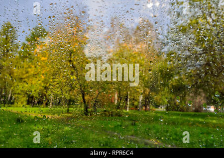 Helle, farbenfrohe Herbst verschwommenen Landschaft im City Park mit nassen Laub nach Regen durch nasses Fenster Glas mit Regentropfen. Regnerischen herbst Wetter und Stockfoto