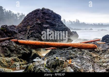 Felsenküste des Pacific Rim National Park, Vancouver Island, British Columbia, Kanada. Stockfoto