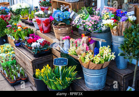 Englisches Dorf shop, Nahaufnahme von Lockwoods Blumenladen Anzeige im Marktplatz, Tickhill in der Metropolitan Borough von Doncaster, South Yorkshire, Stockfoto