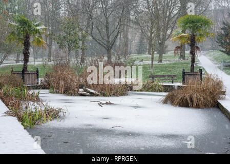 Gefrorene Pool im Park Stockfoto