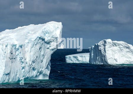 Eisberge in der Scotia See Stockfoto