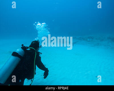 Ein einsamer Scuba Diver mit einem Bull Shark Schließen von im Hintergrund. Stockfoto