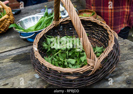 Hat essbare Pflanzen in Sussex, UK Stockfoto