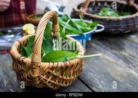 Hat essbare Pflanzen in Sussex, UK Stockfoto