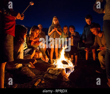 Kinder toasten Marshmallows über einem Lagerfeuer auf einem Campingplatz in Sussex, UK Stockfoto