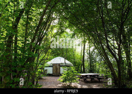 Traditionelle Jurte im Wald, Glamping im Frühling/Sommer Stockfoto