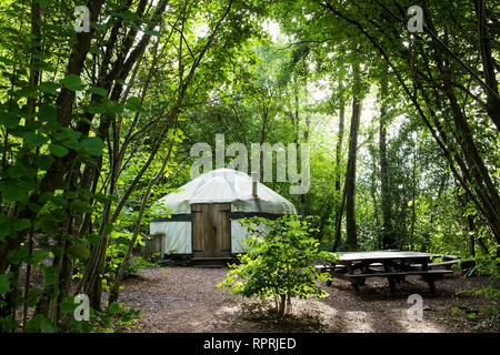 Traditionelle Jurte im Wald, Glamping im Frühling/Sommer Stockfoto