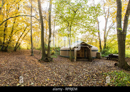 Traditionelle Jurte im Wald, Glamping im Herbst/Winter Stockfoto