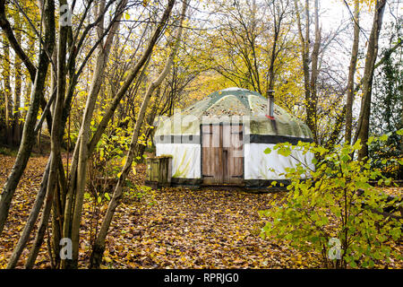 Traditionelle Jurte im Wald, Glamping bei Herbstsonne Stockfoto