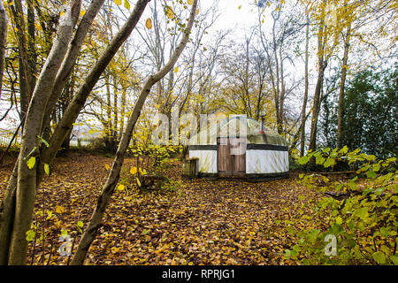 Traditionelle Jurte im Wald, Glamping bei Herbstsonne Stockfoto