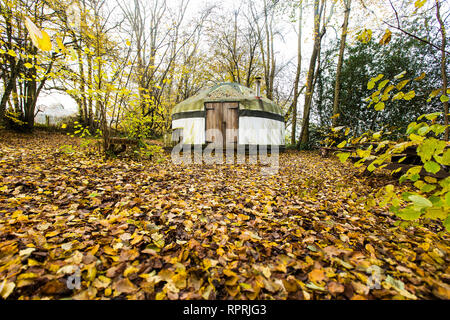 Traditionelle Jurte im Wald, Glamping bei Herbstsonne Stockfoto