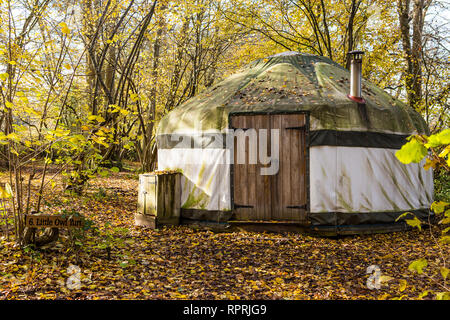 Traditionelle Jurte im Wald, Glamping bei Herbstsonne Stockfoto