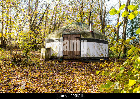 Traditionelle Jurte im Wald, Glamping bei Herbstsonne Stockfoto