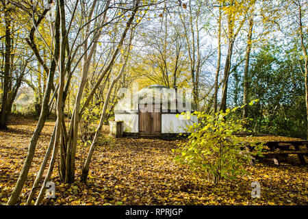 Traditionelle Jurte im Wald, Glamping bei Herbstsonne Stockfoto