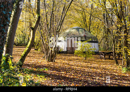 Traditionelle Jurte im Wald, Glamping bei Herbstsonne Stockfoto