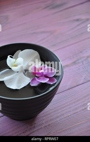 Blüten in weiß und lila Orchidee Phalaenopsis in der kleinen schwarzen Ton Schüssel auf den lila Holz- Hintergrund Stockfoto