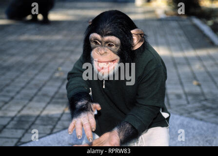 UNSER CHARLY/Kleiner Affe - die große Liebe (2) D 1995/Helmut Förnbacher CHARLY in der Folge: 'Kleiner Affe - große Liebe". /Überschrift: UNSER CHARLY/D 1995