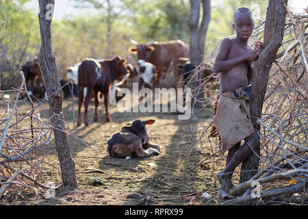 Himba Boy auf der Suche nach Vieh, Namibia, Afrika Stockfoto