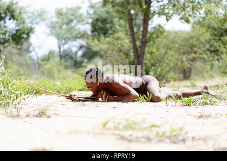 Buschmänner der San Menschen jagen mit Bogen, Kalahari, Namibia, Afrika Stockfoto