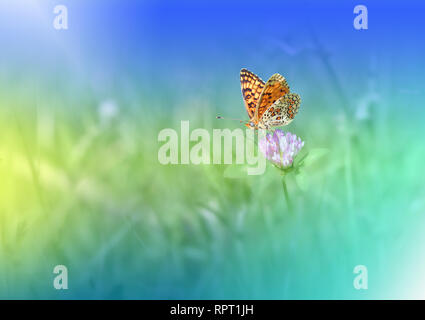 Wunderschöne grüne Natur Hintergrund. Farbenfrohe Künstlerische blaue Tapete. Natürliche Makro Fotografie. ruhige Schönheit in der Natur. Kreative Schmetterling Blumenkunst. Stockfoto