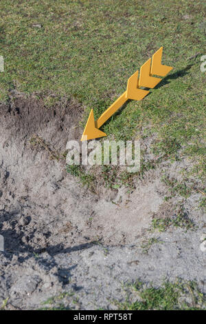 Gelber Pfeil auf kurzem Gras, der nach vorne zeigt. Klare Richtung, klare Richtung. Stockfoto
