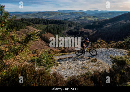 Eine Frau reitet ein Mountainbike auf einem Trail bei Cwm Rhaeadr in Carmarthenshire, South West Wales. Stockfoto