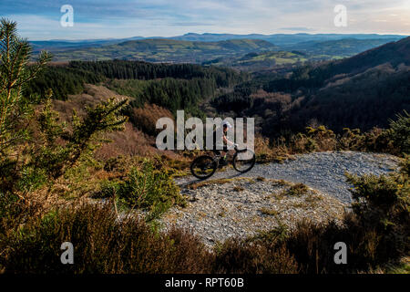 Eine Frau reitet ein Mountainbike auf einem Trail bei Cwm Rhaeadr in Carmarthenshire, South West Wales. Stockfoto