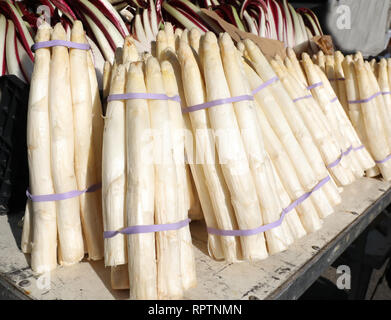 Trauben der weißen großen Spargel zum Verkauf an der Gemüsehändler Stockfoto