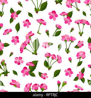 Feder nahtlose Muster Hintergrund mit Cherry Blossom Vektor Stock Vektor