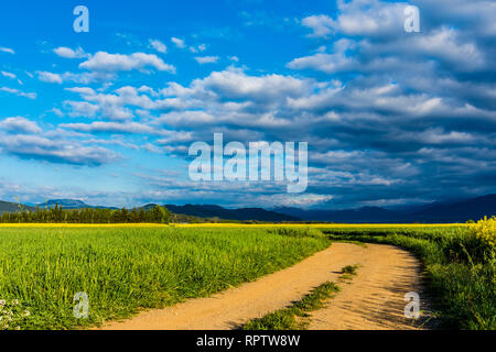 Zu Fuß den Weg in die Morgensonne. Stockfoto