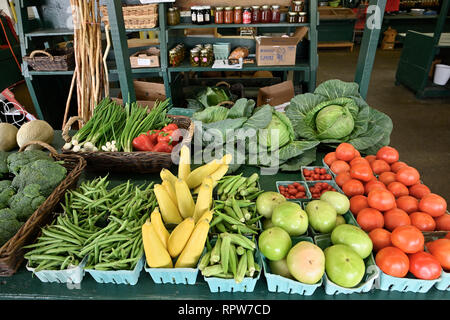 Frische Produkte und Gemüse zum Verkauf an der Kandare Markt, ein Bauernmarkt, in der Innenstadt von Montgomery, Alabama, USA. Stockfoto