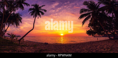Tropisches Paradies Strand mit weißem Sand und Coco Palms reisen tourismus breites Panorama Hintergrund Konzept Stockfoto