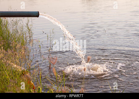 Rohr Pumpe rush Wasser im Sumpf fallen Stockfoto