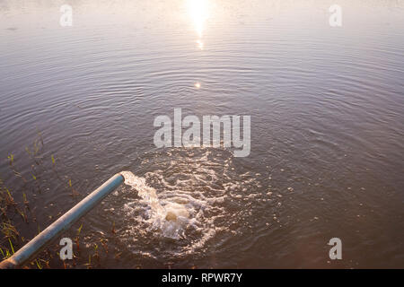 Rohr Pumpe rush Wasser im Sumpf fallen Stockfoto