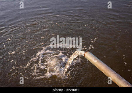 Rohr Pumpe rush Wasser im Sumpf fallen Stockfoto