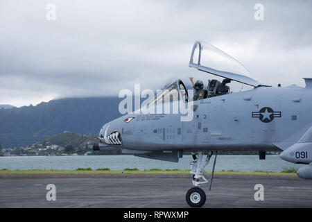 Us Air Force Maj. John Tice, 303Rd Fighter Squadron Pilot, Signale an Flugzeugen Betreuer vor einem niedrigen Höhenflug bei Marine Corps Air Station Kaneohe Bay, Marine Corps Base Hawaii, Feb 22, 2019. Die Teilnehmenden werden in verschiedenen Übungen über die Hawaiianischen Inseln, in Zusammenarbeit mit den U.S. Marine Corps Einheiten. (U.S. Air Force Foto von älteren Flieger Missy Sterling) Stockfoto