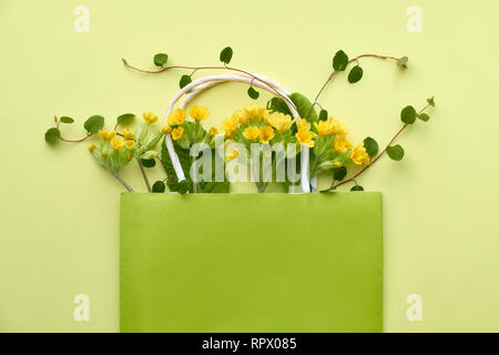 Gelbe primel Blumen in einem grünen Einkaufstasche mit Platz für Text auf gelbem Papier Hintergrund. Flach, Ansicht von oben Stockfoto