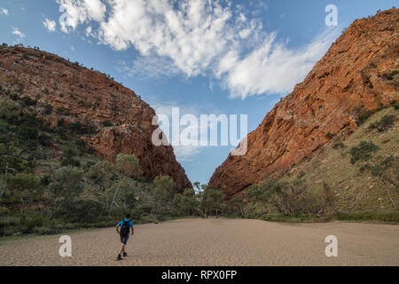 Simpsons Gap (Arrernte: Rungutjirpa) ist eine der Lücken in der West MacDonnell Ranges in Australien Northern Territory. westlich von Alice Springs. Stockfoto