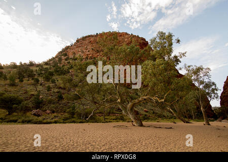 Simpsons Gap (Arrernte: Rungutjirpa) ist eine der Lücken in der West MacDonnell Ranges in Australien Northern Territory. westlich von Alice Springs. Stockfoto