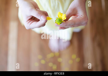 Mädchen Blütenblätter aus der Kommissionierung eine Blume Stockfoto