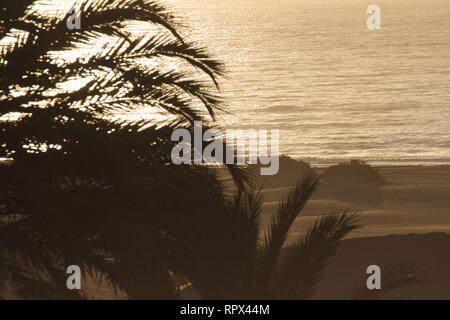 Gran Canaria Stockfoto