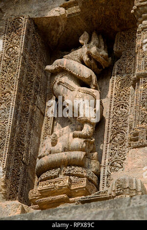 Wall panel Skulptur von Lion tanzen auf Elefanten bei Sun Tempel in Konark, Odisha (Orrissa), Indien, Asien Stockfoto