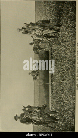 . Luzerne, Heuschrecken, Bienen: ihre Beziehung. Alfalfa. [Aus dem alten Katalog]; Heuschrecken. [Aus dem alten Katalog]; Bienen. [Aus dem alten Katalog]. . Bitte beachten Sie, dass diese Bilder sind von der gescannten Seite Bilder, die digital für die Lesbarkeit verbessert haben mögen - Färbung und Aussehen dieser Abbildungen können nicht perfekt dem Original ähneln. extrahiert. Jäger, Samuel John, 1866 [aus dem alten Katalog]; Duff, A. H. [aus dem alten Katalog]. Topeka, Kan. Drücken des Staates Drucker Stockfoto