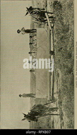 . Luzerne, Heuschrecken, Bienen: ihre Beziehung. Alfalfa. [Aus dem alten Katalog]; Heuschrecken. [Aus dem alten Katalog]; Bienen. [Aus dem alten Katalog]. . Bitte beachten Sie, dass diese Bilder sind von der gescannten Seite Bilder, die digital für die Lesbarkeit verbessert haben mögen - Färbung und Aussehen dieser Abbildungen können nicht perfekt dem Original ähneln. extrahiert. Jäger, Samuel John, 1866 [aus dem alten Katalog]; Duff, A. H. [aus dem alten Katalog]. Topeka, Kan. Drücken des Staates Drucker Stockfoto